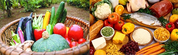 Environnement et sécurité alimentaire au Maroc